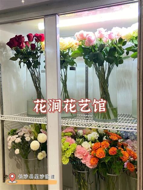 花店常见的玫瑰花品种,26种常见玫瑰花品种,花店常见鲜花品种_大山谷图库
