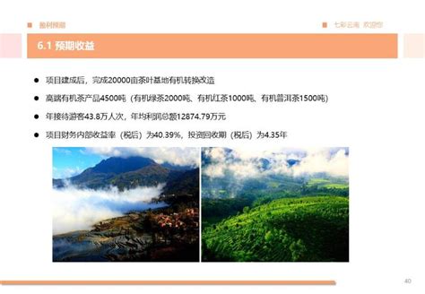 “普洱茶产业高质量发展助力乡村振兴”高峰论坛在我校举办-云南农业大学