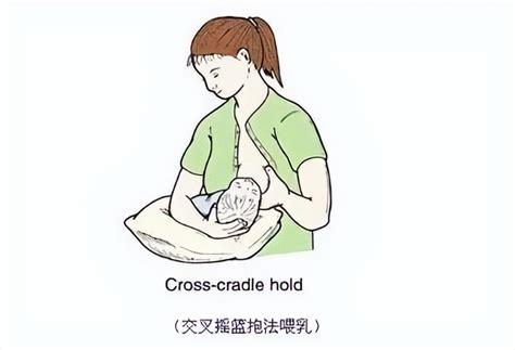 正确的含接姿势是成功哺乳的关键_深圳新闻网