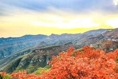 秋色起，稻城红草地带来高原最美色彩_四川在线