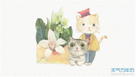 美短猫咪名字可爱洋气-给猫起个名字特别萌的活泼可爱的猫咪名字-酷派宠物网