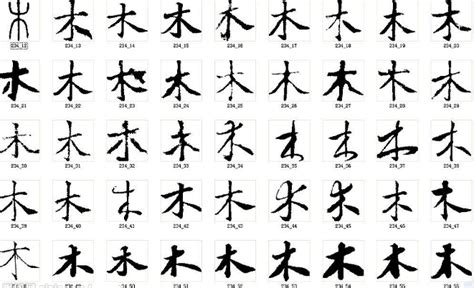 “木” 的汉字解析 - 豆豆龙中文网