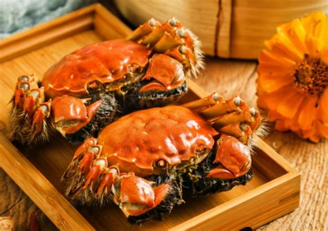 蒸熟的螃蟹怎么判断是死的还是活的-蒸熟的螃蟹怎么区分是活的和死的-趣丁网