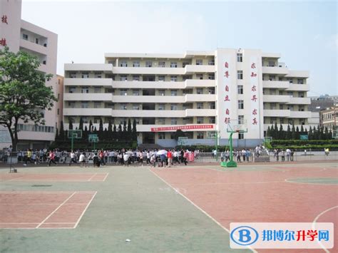 镇雄县第一中学2023年学费、收费多少