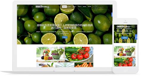 水果生鲜电商商城网站建设网页设计方案与功能明细_建站动态_开创网络
