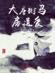 《大唐：开局我成了李世民女婿》小说在线阅读-起点中文网