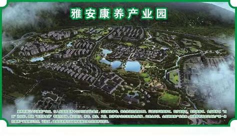 雅安雨城区：十年砥砺前行 闯出一条高质量发展新路--四川经济日报