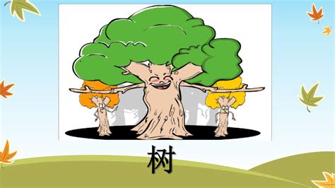 纺大学生给树“穿衣裳” - 长江商报官方网站