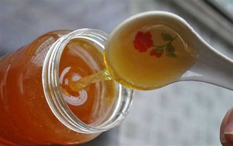 野玫瑰蜜的作用与功效及食用方法 - 蜂蜜种类 - 酷蜜蜂