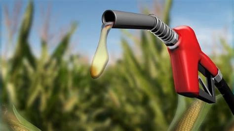 岳国君院士：我国生物燃料乙醇产业迎来快速发展局面-国际环保在线
