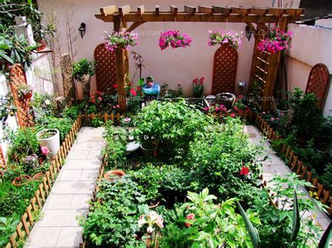 私家庭院景观设计的植物搭配技巧
