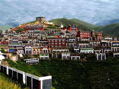 玉树藏族自治州 2019年经济社会发展稳中向好_玉树市新闻网