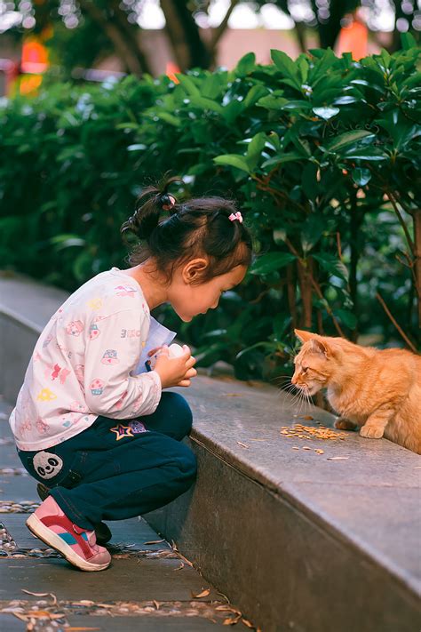 女生最爱的小猫戒指，简单几步就做好，手工折纸DIY教程_腾讯视频