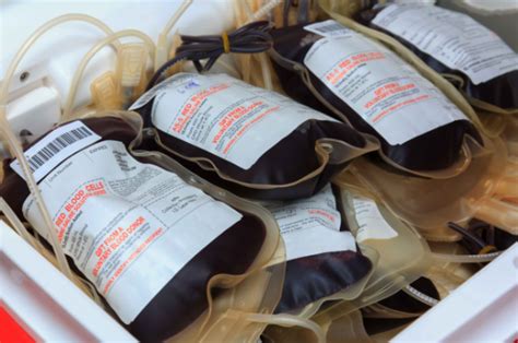 献血的好处和坏处都有哪些？好处多还是坏处多_360新知