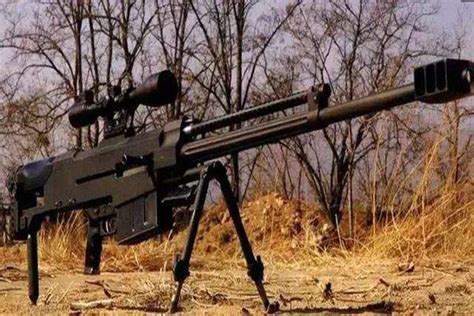 世界十大名狙击步枪 第一最受国家军队青睐，你喜欢哪一种_武器_第一排行榜