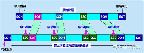 计算机网络 数据链路层（一）点对点协议与广播信道_点对点链路和广播链路的区别-CSDN博客