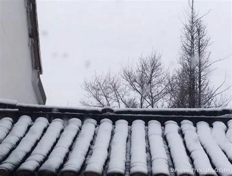 轻的女人享受着下雪的天高清图片下载-正版图片300138593-摄图网