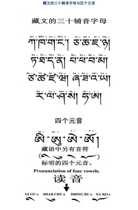藏文字母
