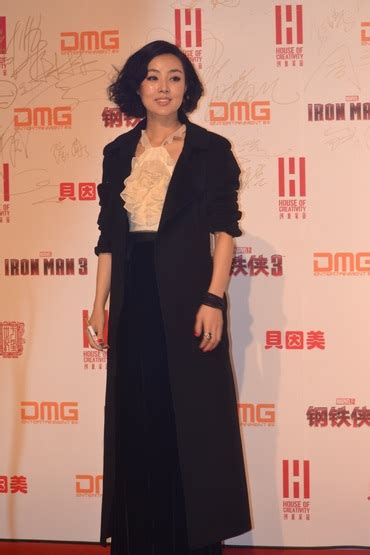 姜宏波亮相国际电影节 转场助阵《钢铁侠3》-搜狐娱乐
