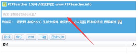 p2psearcher最新官方正式版下载（p2p种子搜索器）--系统之家