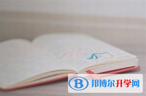 2023网络推广服务有哪些-重庆帝壹网络营销推广公司