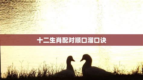 用爱陪伴——十二生肖顺口溜-搜狐大视野-搜狐新闻