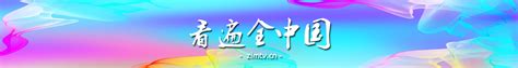 重庆卫视 在线直播 - 鹦鹉台 | zimtv.cn