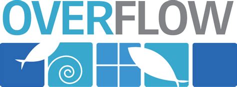 New Overflow logo or streamline success?