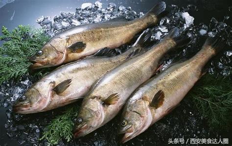 蛏子海鲜,常吃的海鲜名字,蛏子海鲜图片_大山谷图库