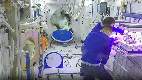 中国空间站动态丨“太空菜园”收菜啦！_手机新浪网