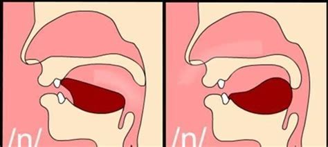 前鼻音和后鼻音有什么区别-百度经验