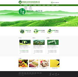 绿色农产品网站建设|农业公司网站模板|蔬果农产品网站源码-易优CMS