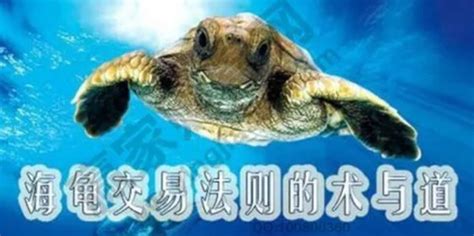 海龟交易法则简介_财富号_东方财富网