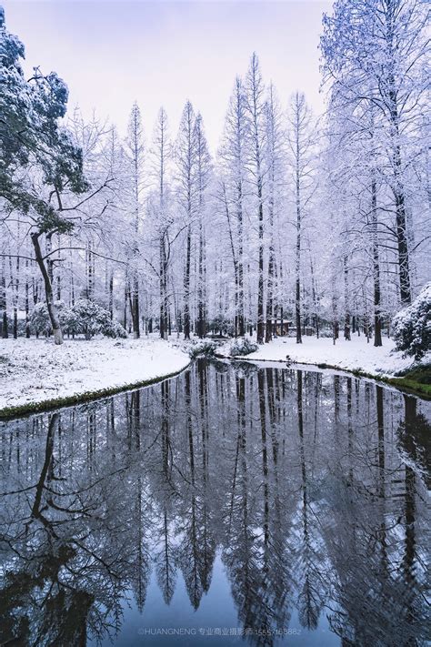 杭州雪景【雪景】|摄影|风光摄影|摄影师潘钦锐 - 原创作品 - 站酷 (ZCOOL)