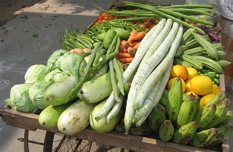 蔬菜大全-蔬菜大全,蔬菜,大全 - 早旭阅读