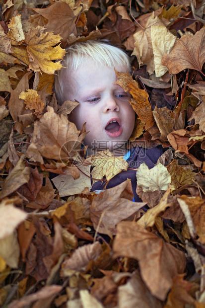 一个男孩在秋天玩耍高清图片下载-正版图片507108888-摄图网