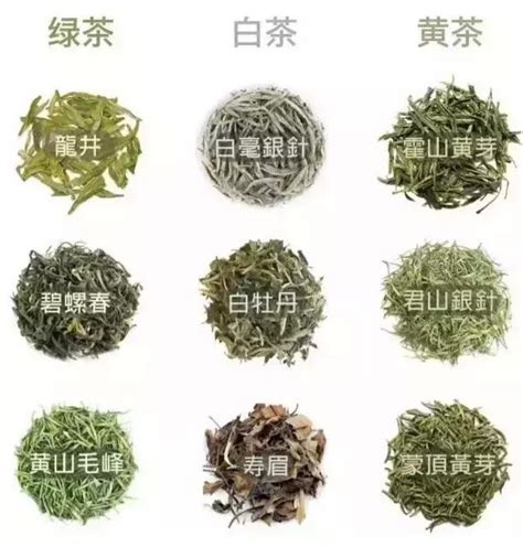 一棵茶树|一棵茶树可以炒成不同颜色的茶叶 为什么同样的叶子做成不同的茶 茶叶|不同颜色