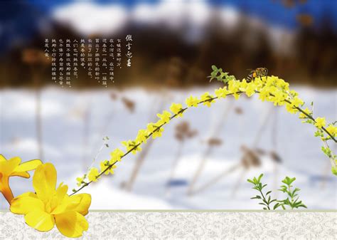 “二月二，龙抬头”，农历二月初二又称“春耕节”“春龙节”