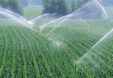 360度自动旋转草坪浇水三臂喷头花园浇花洒水器园林喷水灌溉工具-阿里巴巴