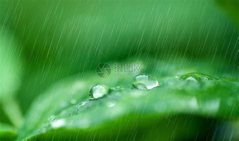 唯美下雨天背景图片背景图片素材免费下载_熊猫办公