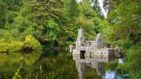Ruins of the Cong Abbey also known as the Royal Abbey of Cong, in ...