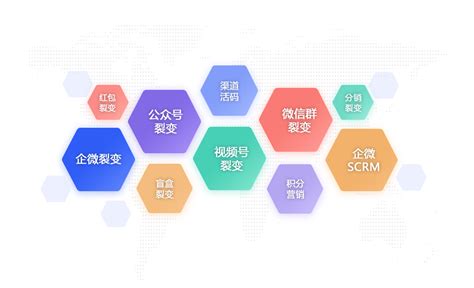 聚合裂变营销系统 - 杭州微奇网络科技有限公司