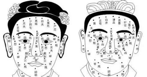 面相学：脸上的痣相代表什么？17个部位痣相的含义和影响|痣相|异性|运势_新浪新闻