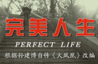 完美人生最新章节免费阅读_全本目录更新无删减 - 起点中文网官方正版