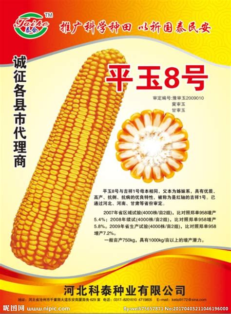 吉单71玉米种子介绍，适宜播种期4月下旬至5月上旬 - 新三农