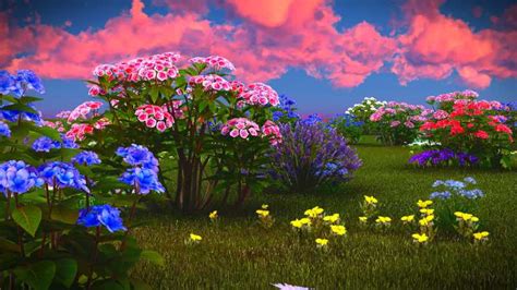 美丽的花丛图片-野外美丽的花丛素材-高清图片-摄影照片-寻图免费打包下载