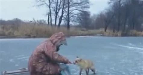 男子在冰面上钓鱼，突然走来一只小狐狸，接下来一幕让人心头一暖