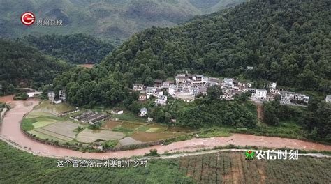 贵州卫视：贵州农信提升金融服务质效 助力地方特色产业发展