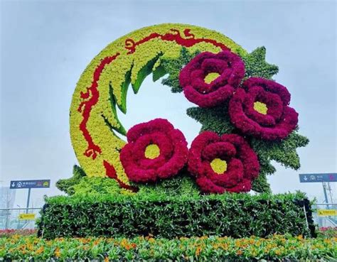 植物雕塑案例-成都旭锦园林有限公司