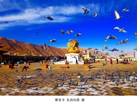 热贡艺术之乡 建在海拔两千五百米的世界级“非遗” _深圳新闻网